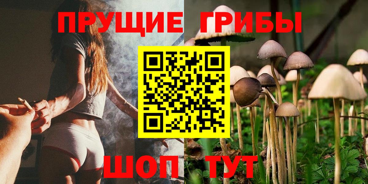 Псилоцибиновые грибы Psilocybine cubensis  Галлюциногенные грибы Psilocybe  Вход с VPN  Менделеевск 